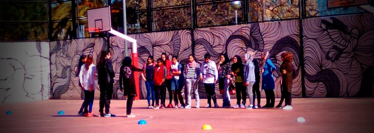 FEEB-primera-lliga-criquet-femeni